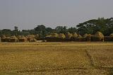 PIGP0518